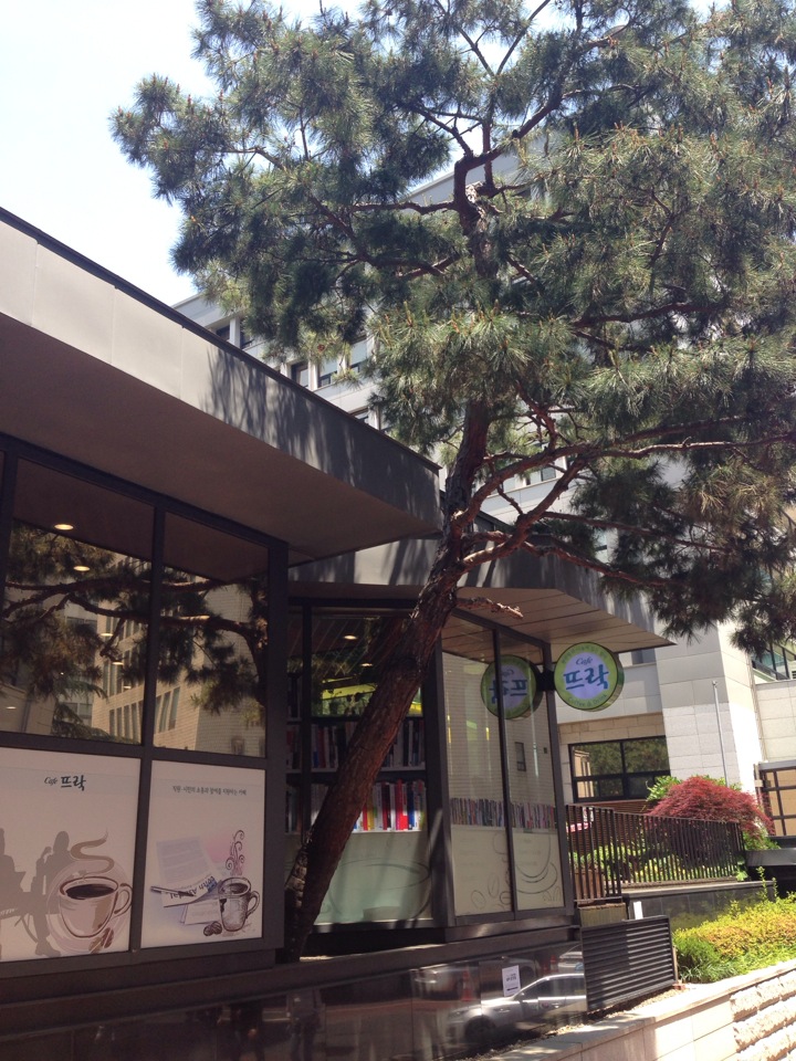 Cafe 뜨락 | 서울특별시 중구 덕수궁길 15 | +82 2-6361-3977