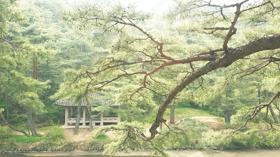 소수서원 (紹修書院, Sosu Seowon) | 경상북도 영주 순흥면 소백로 2740 | +82 54-639-5852 소수서원 (紹修書院, Sosu Seowon) | 경상북도 영주 순흥면 소백로 2740 | +82 54-639-5852