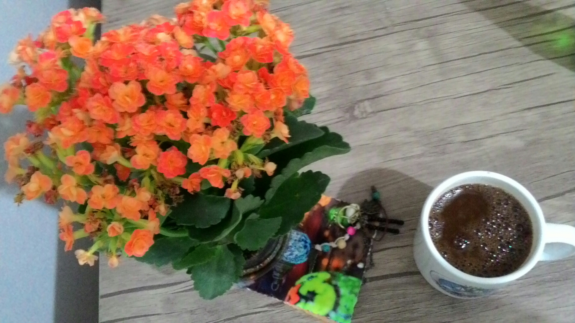 Altuntaş Avukatlık Bürosu | Atatürk Mahallesi, Erzincan/Erzincan | +90 446 223 18 19