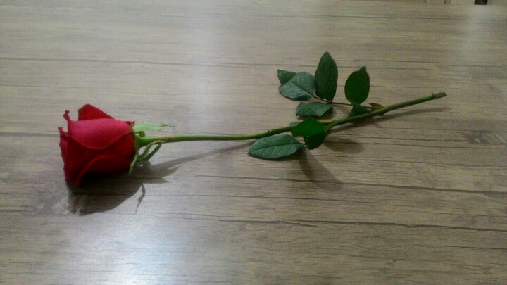 Altuntaş Avukatlık Bürosu | Atatürk Mahallesi, Erzincan/Erzincan | +90 446 223 18 19