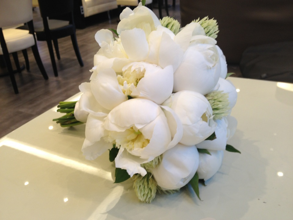 CAFFÉ PASCUCCI | 서울 영등포구 은행로 25 | +82 2-786-9004