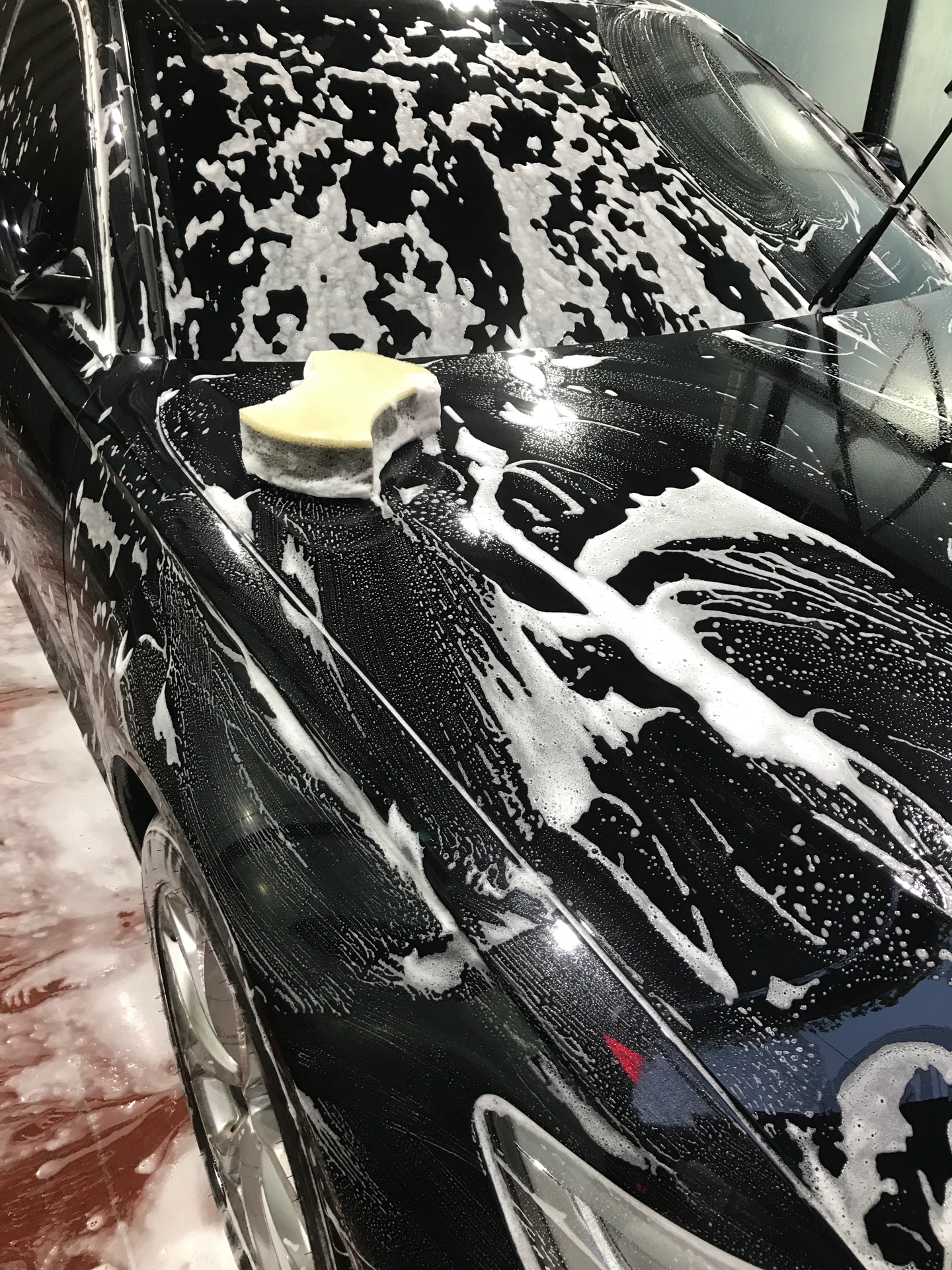 세진디테일링 (셀프세차) | 경기도 수원 영통구 권선로 893 | +82 31-202-7766