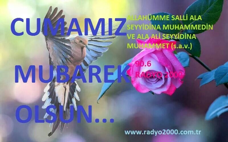 Gramer Doğaltaş Belenco Bölge Bayi | Zafer Mahallesi 1043 Sokak No:72, Merkezefendi/Denizli | +90 258 371 99 91