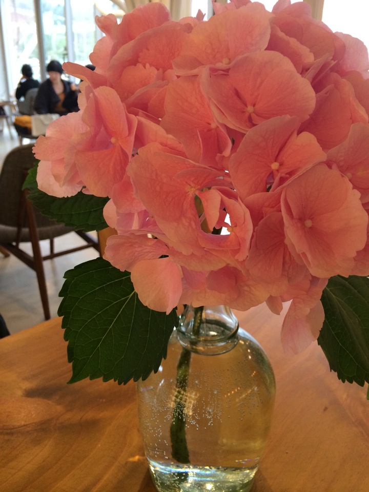 cafe the Jangmee | 경기도 파주 탄현면 헤이리마을길 21-7 | +82 31-945-2340