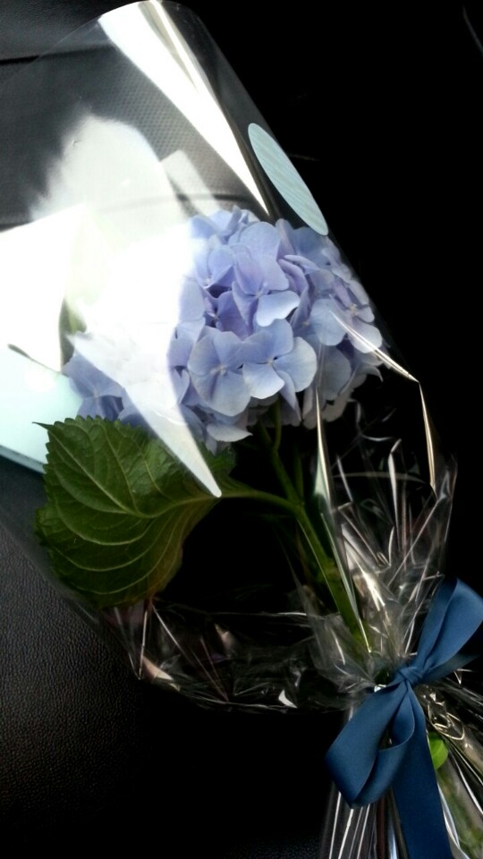 Soho & Noho | 서울 영등포구 의사당대로 108 | +82 2-784-7258