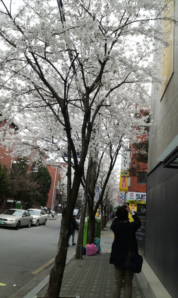 Fork Fork Diner | 서울 마포구 어울마당로 17-1 | +82 2-517-5868