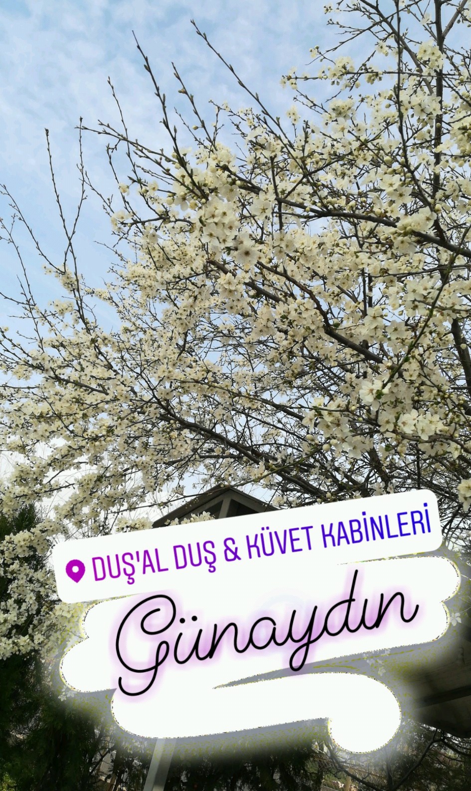 Duşal Kabin Sistemleri Pvc. Alm. İnş.San.Tic. Limited Şti | İstanbul Yolu 21. Km, Ankara | +90 312 366 74 84