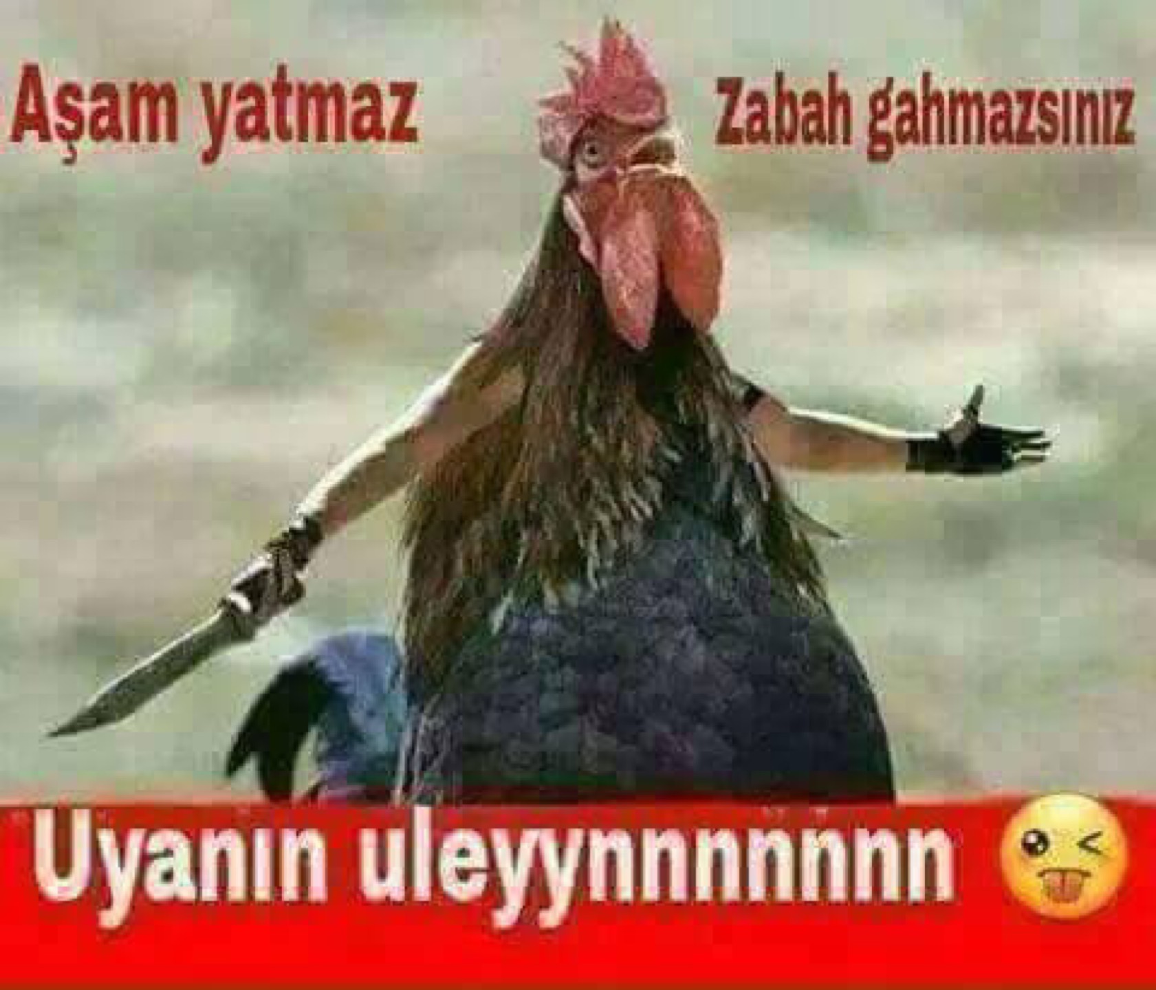 Eskişehir Kobi Sanayi Bölgesi | Ankara Yolu 10.Km, 26110 Eskişehir/Eskişehir | +90 222 236 10 80