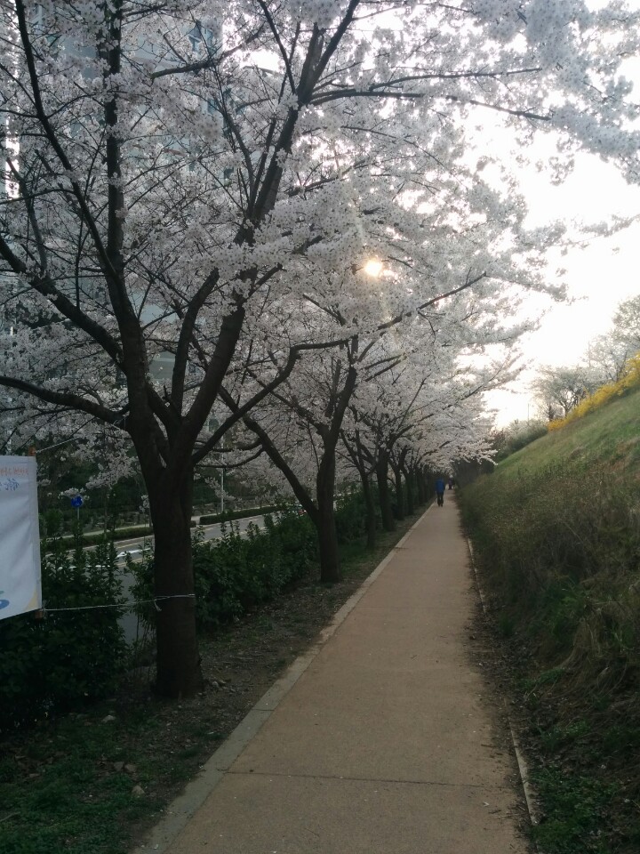 잠현초등학교 | 서울 송파구 올림픽로37길 109 | +82 2-415-8105