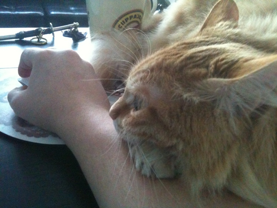 7Gates Interactive Technologies | Etiler, Besiktas/İstanbul | +90 212 351 70 65