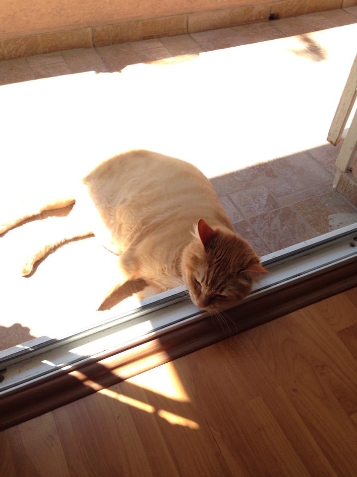 7Gates Interactive Technologies | Etiler, Besiktas/İstanbul | +90 212 351 70 65