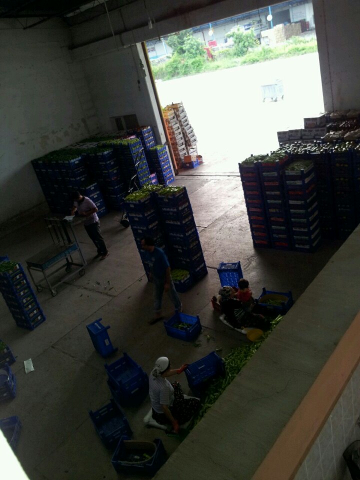 Daimoğlu Meyve Sebze | Yenipervane 4. Cadde, 38030 Kocasinan/Kayseri | +90 352 240 43 06