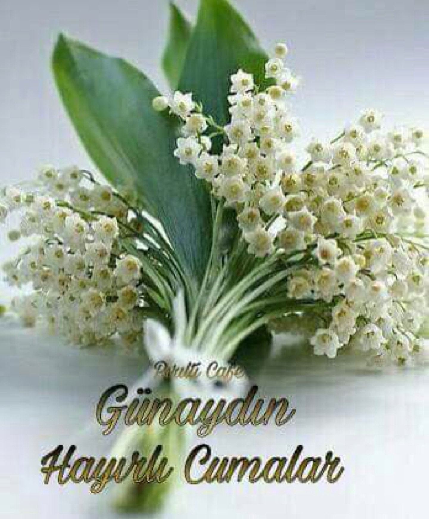 Hisar Grup Kalıp&Tasarım | 75.Yıl Mahallesi Kenan Evren Sanayi Sitesi, Yunusemre/Manisa | +90 236 236 17 27