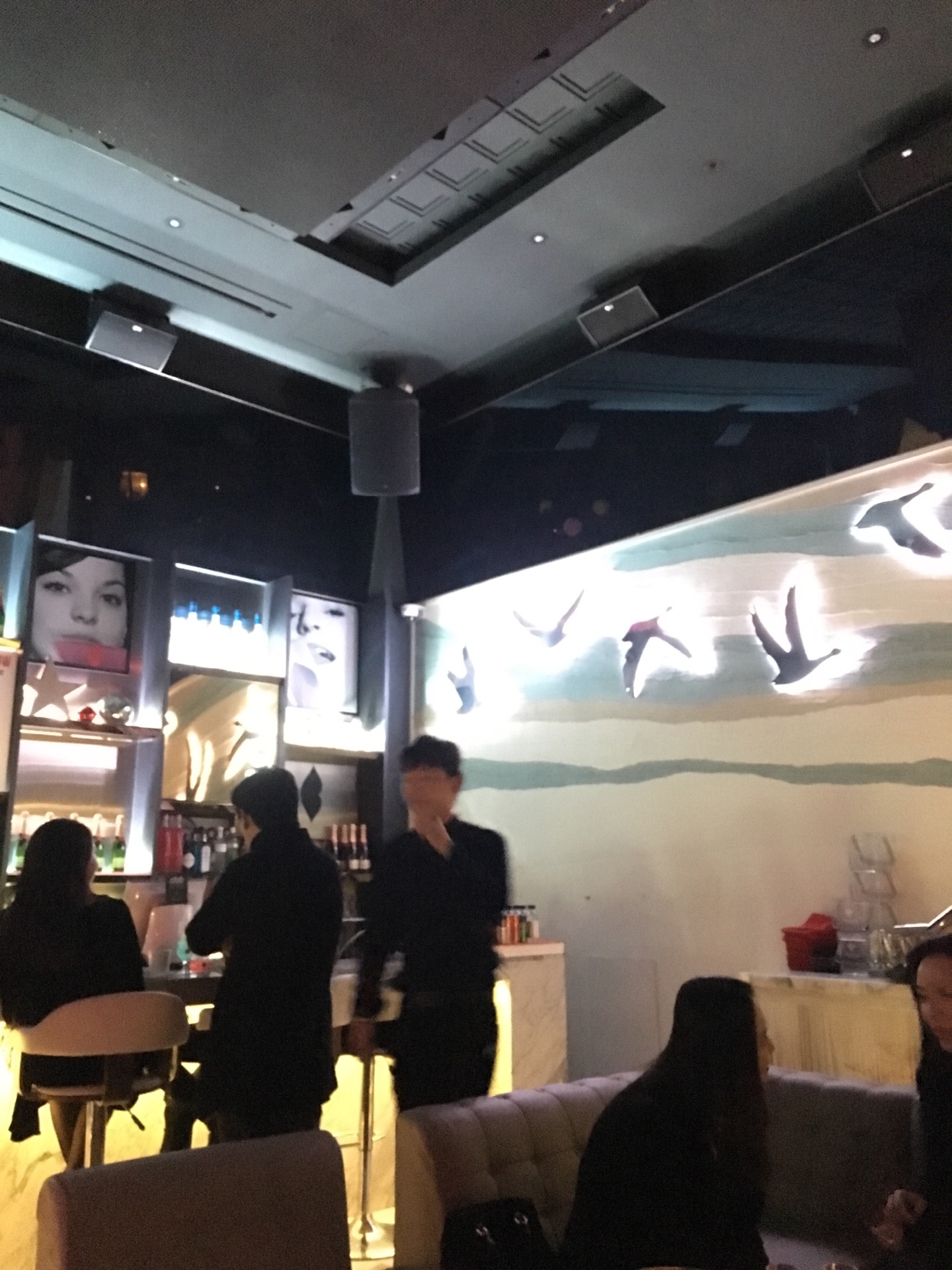 klatch & BARDOT | 서울 강남구 도산대로57길 8 | +82 2-540-5419