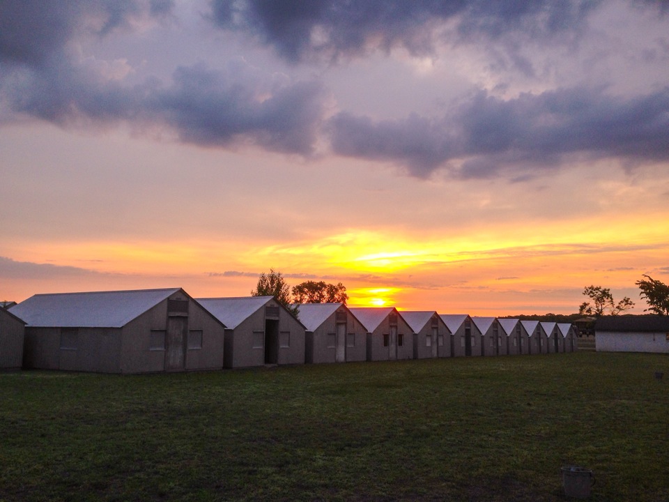 Camp Ripley 15000 Highway 115, Little Falls, MN, 56345