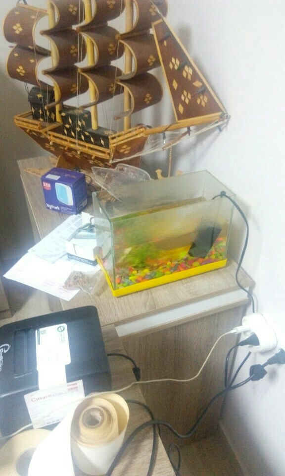 Özse Bilgi Teknolojileri Limited Şti. | Kayalıbağ Mahallesi Avukat Kamil Tekerek Sokak No:9/A, 01030 Seyhan/Adana | +90 322 352 19 19