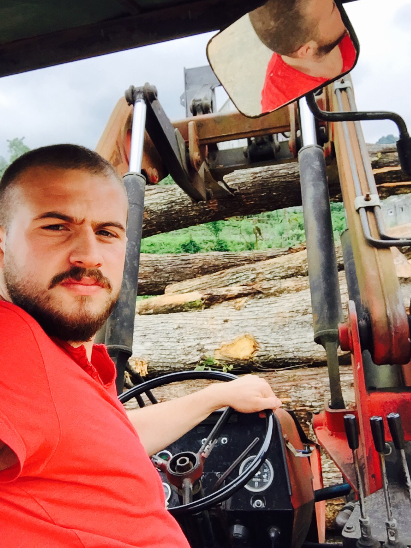 sancaktutan orman ürünleri | kemalpaşa merkez, Hopa/Artvin | +90 466 361 26 80