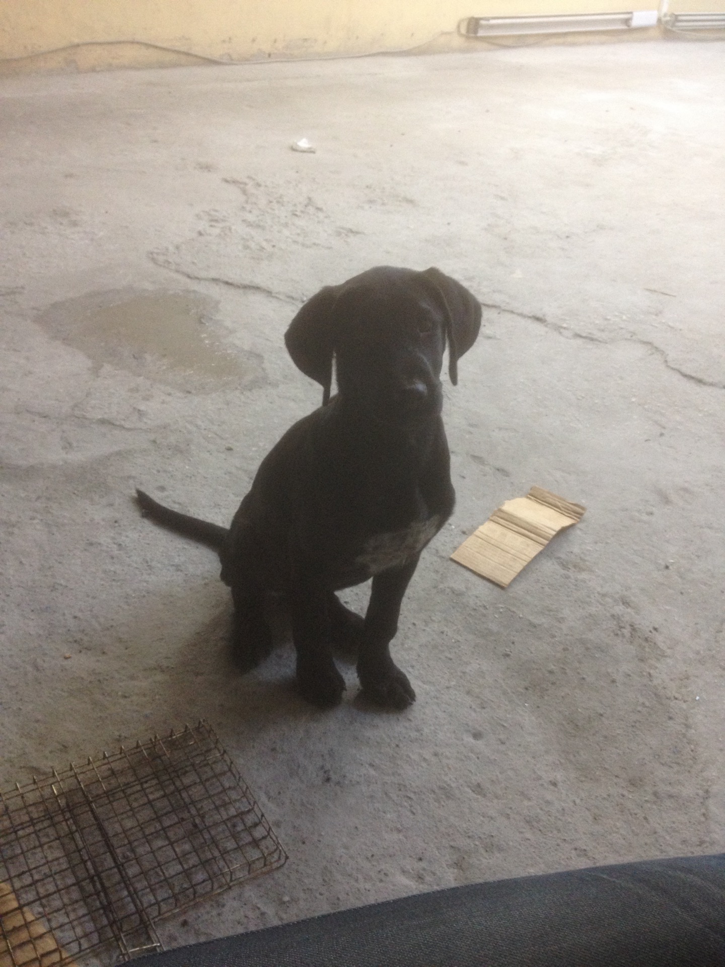 sihir oto göcük merkezi | Incirtepe Mah Fatih Oto Sanayi Sit C/4blok No :25 Esenyurt, Esenyurt/İstanbul | +90 535 822 09 66