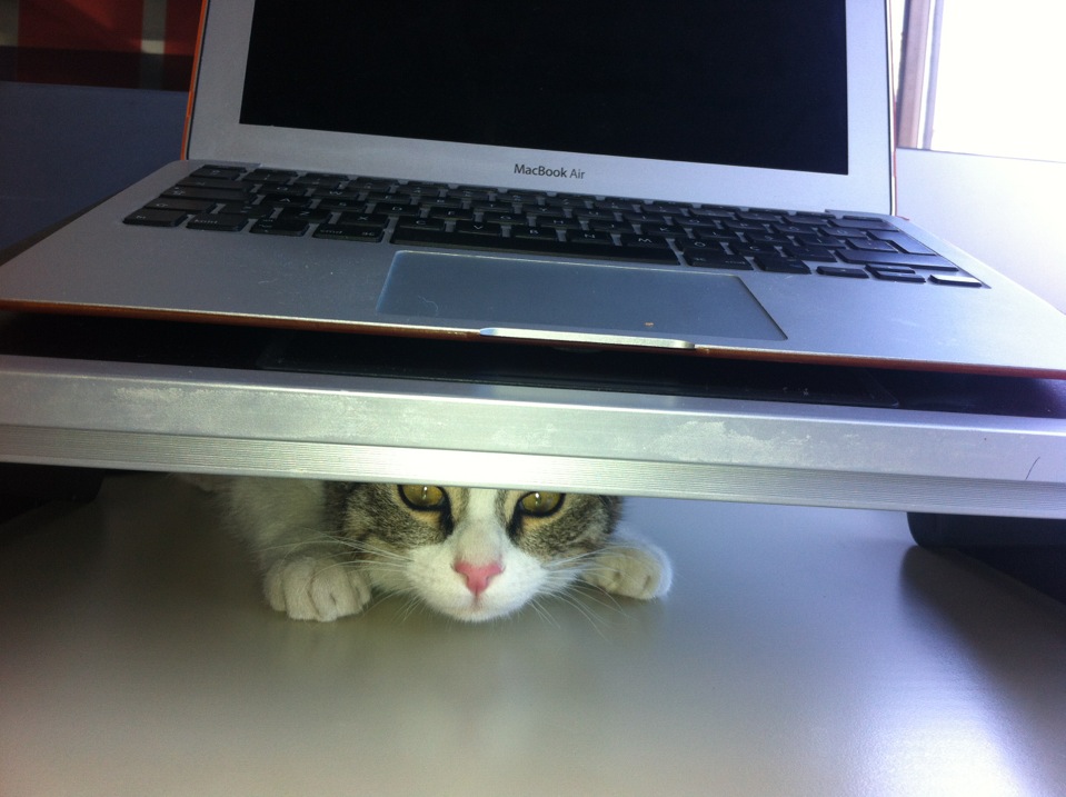 Artı İletişim Yönetimi | morbasan Sokak koza is merkezi b blok, Besiktas/İstanbul | +90 212 347 03 30