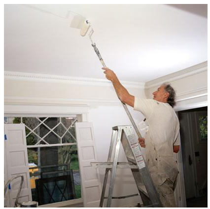 Hayes Decor | 12 Holywell Way, Wicklow | +353 1 903 8016