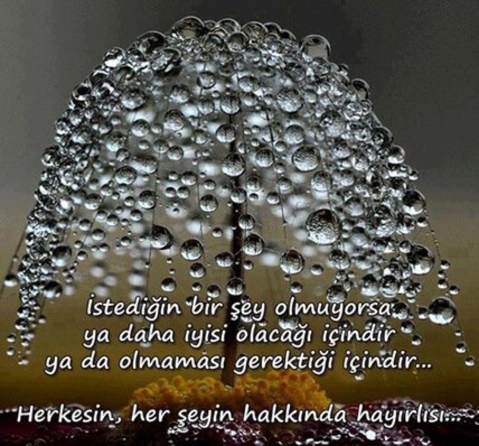 Küçükyalı Gevrek & Cafe | Gaziemir/İzmir | +90 538 062 59 95