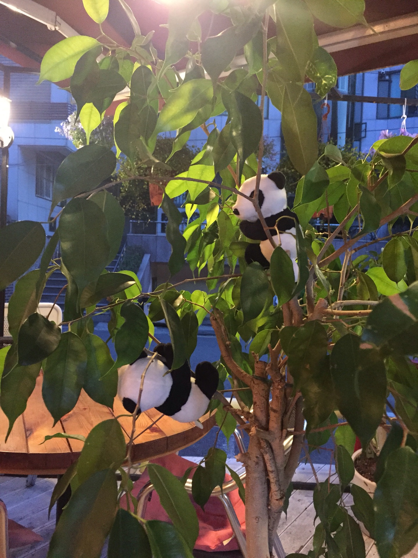 Poco Felice | 서울 마포구 동교로18길 13 | +82 2-338-2435 Poco Felice | 서울 마포구 동교로18길 13 | +82 2-338-2435