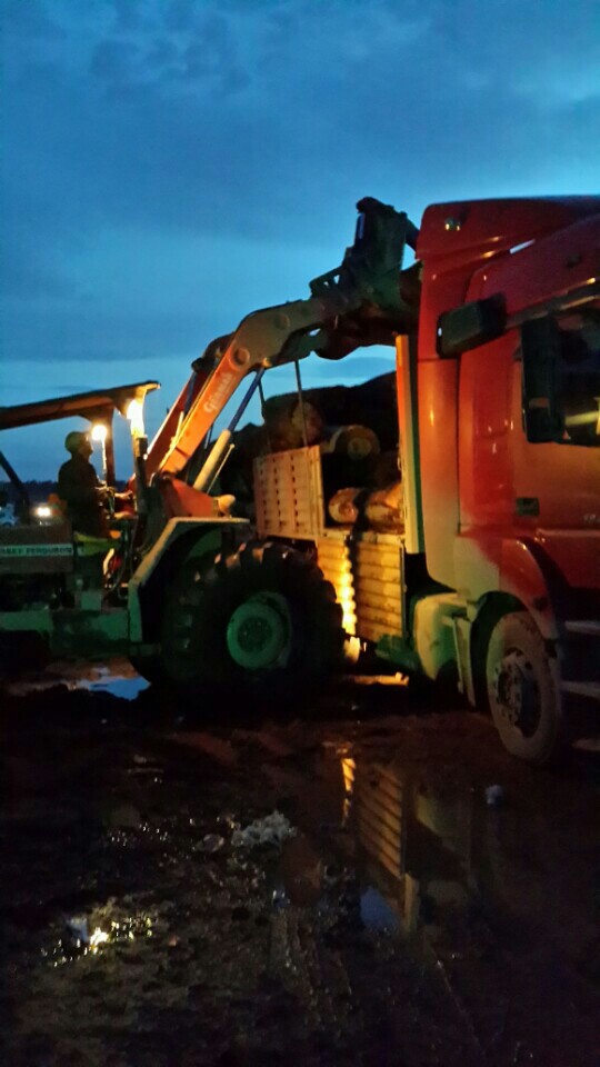 Bayrak Ağaç Ürünleri LimitedŞti. | Tekeler Mahallesi 45 Caddesi No 14 Keresteciler Sitesi, Sakarya | +90 264 281 14 41