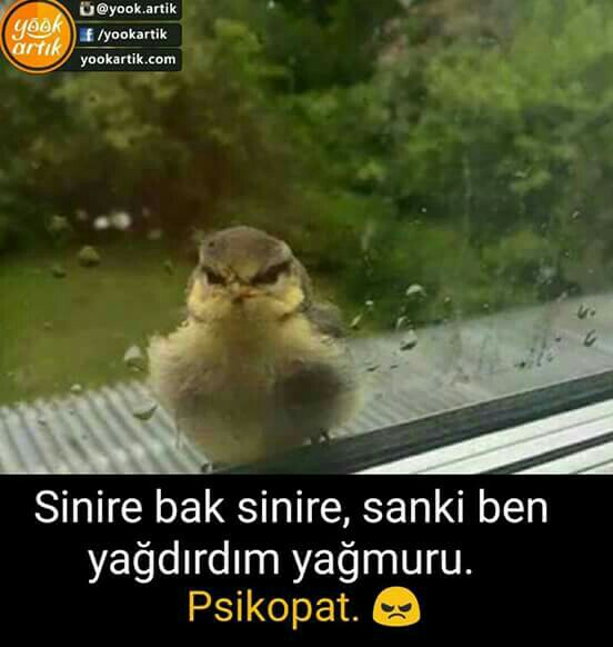 Nominal Şirketler Grubu | Kukurtlu M. Pınar Caddesi Emel Hn. Apt. K:3, 16080 Osmangazi/Bursa | +90 224 236 33 43 Nominal Şirketler Grubu | Kukurtlu M. Pınar Caddesi Emel Hn. Apt. K:3, 16080 Osmangazi/Bursa | +90 224 236 33 43