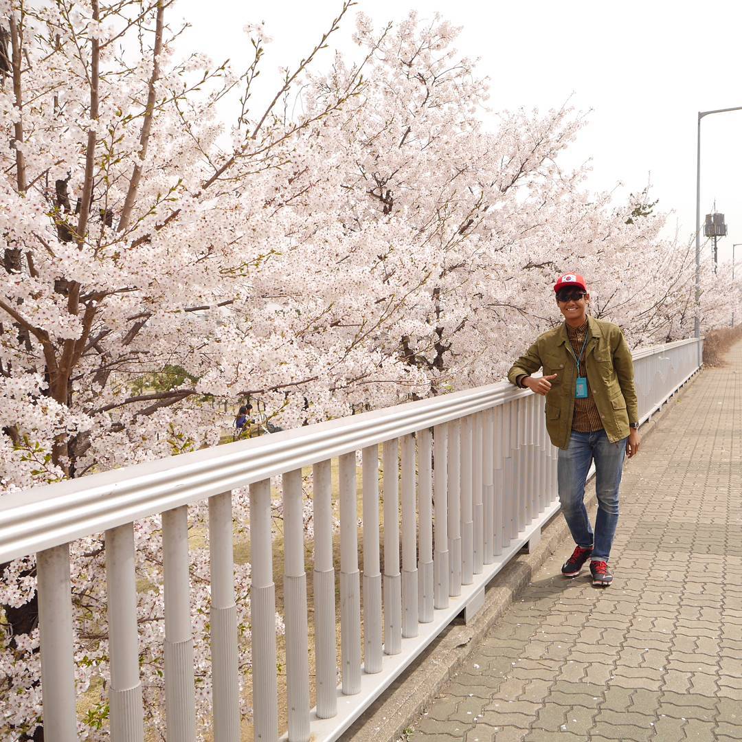 Cherry Blossom | 서울 용산구 이태원로55가길 3 | +82 2-796-9203