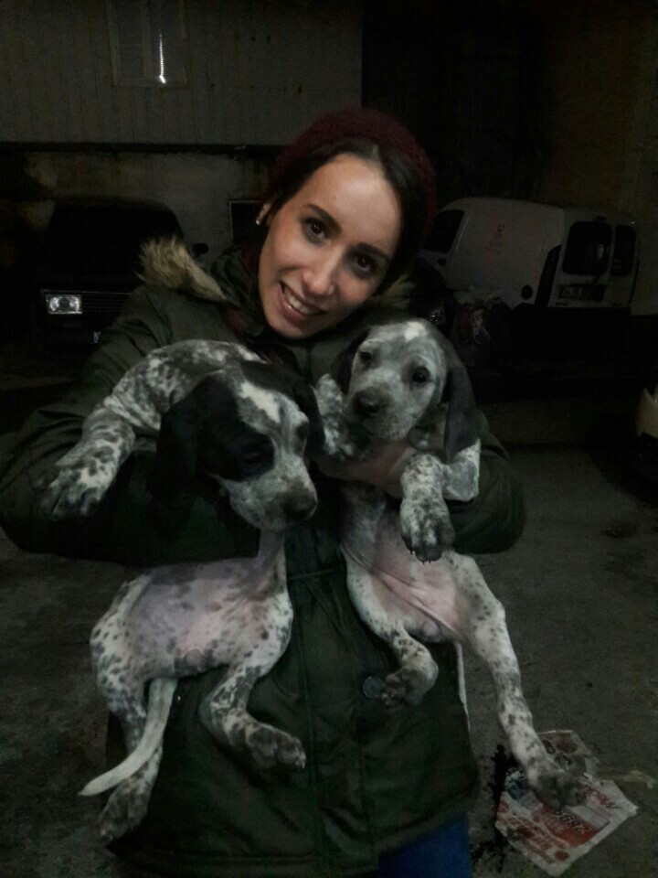 Korukcu Automotive Paint Services | Atasehir/İstanbul | +90 538 258 28 27