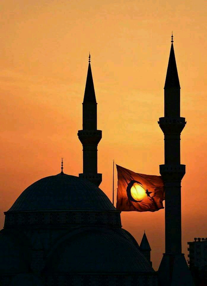 Nalbant Adil Ticaret (Toplu tüketim) | Bentbaşı mahallesi, 44100 Battalgazi/Malatya | +90 422 323 98 76