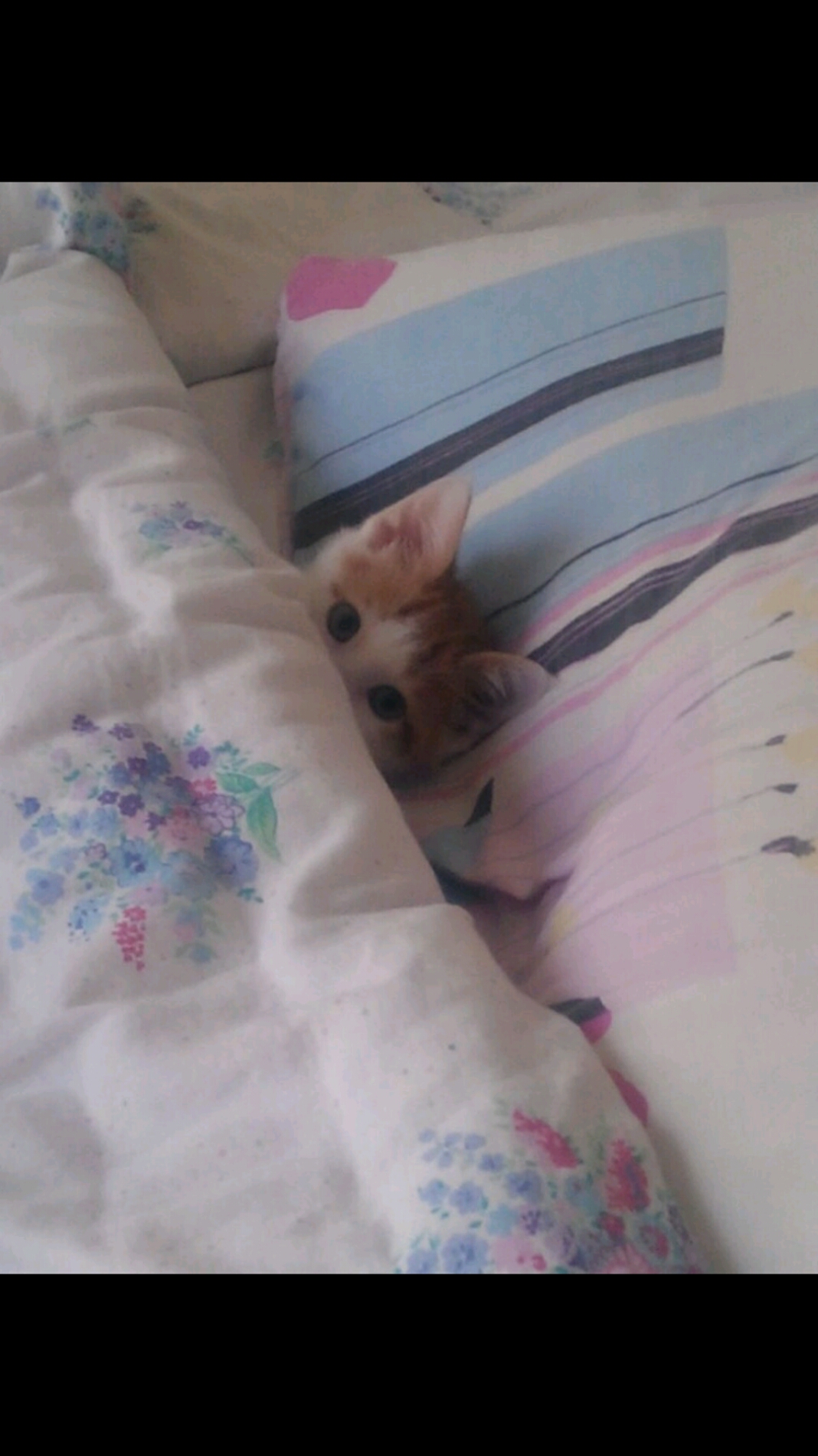 Nalbant Adil Ticaret (Toplu tüketim) | Bentbaşı mahallesi, 44100 Battalgazi/Malatya | +90 422 323 98 76