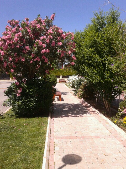 Park Büfe Cafe | siteler Mahallesi, 35310 İzmir | +90 232 234 28 95