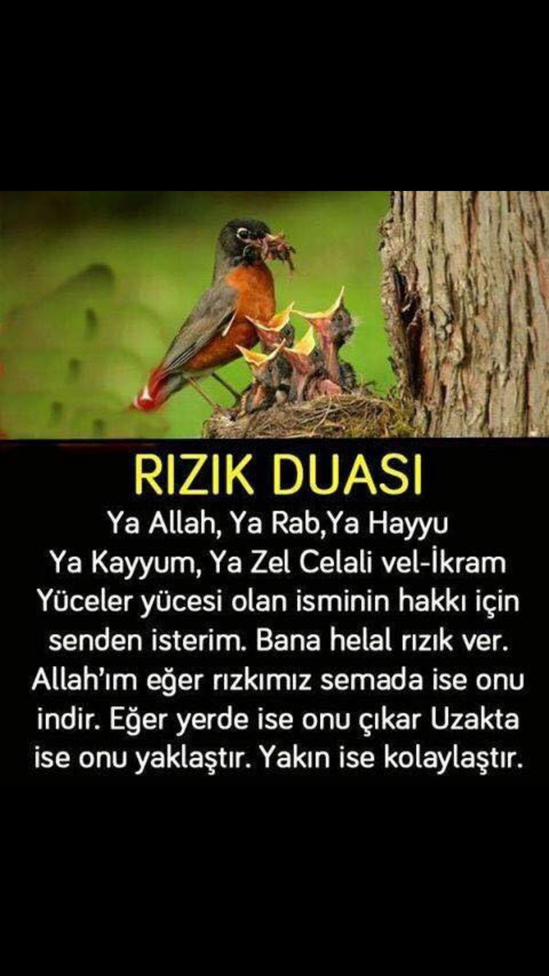 Şahin Emlak | Cumhuriyet Mh, 09100 Efeler/Aydin | +90 541 882 07 43