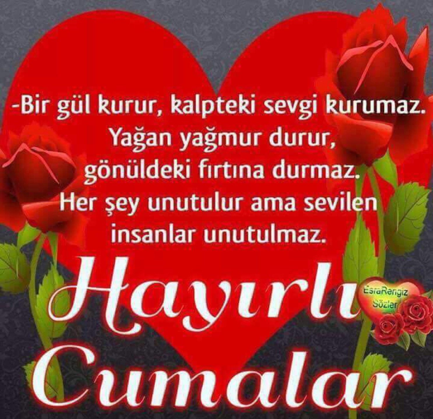 Şahin Emlak | Cumhuriyet Mh, 09100 Efeler/Aydin | +90 541 882 07 43