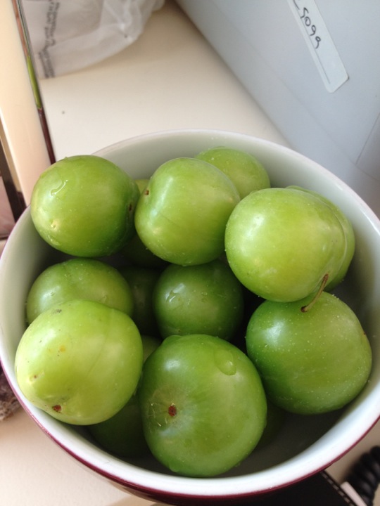 Artı İletişim Yönetimi | morbasan Sokak koza is merkezi b blok, Besiktas/İstanbul | +90 212 347 03 30