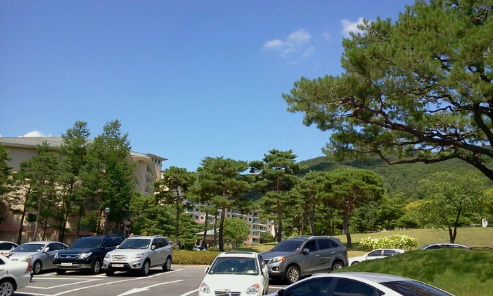 오크밸리 CC (Oak Valley CC) | 강원도/한국 원주 지정면 오크밸리1길 67 | +82 33-730-3500 오크밸리 CC (Oak Valley CC) | 강원도/한국 원주 지정면 오크밸리1길 67 | +82 33-730-3500