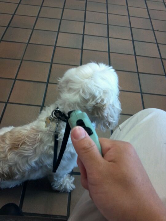 Canyon Crest Animal Hospital 5225 Canyon Crest Dr Ste 75 Riverside Ca 92507