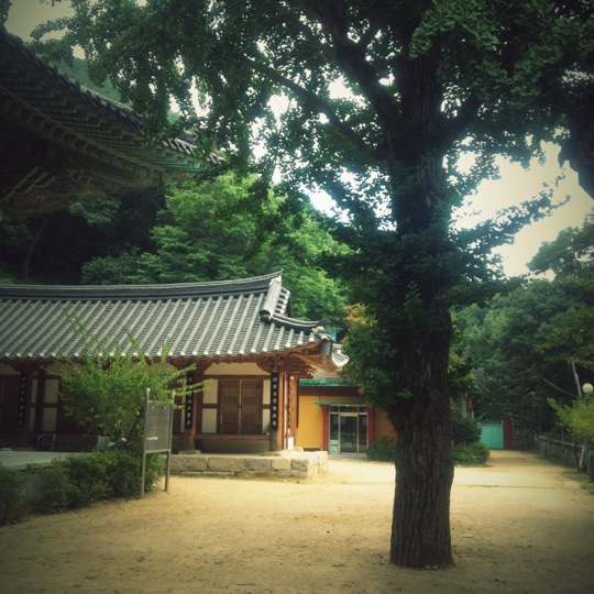 선암사 (仙巖寺) | 부산광역시 부산진구 백양산로 138 | +82 51-803-7573