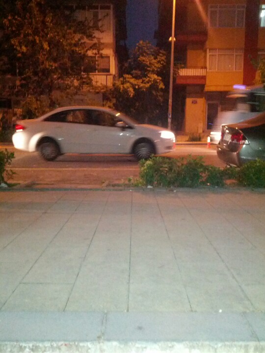 Sinek Cafe | Adnan kahveci Sokak, Yalova/Gökçedere | +90 535 474 51 84