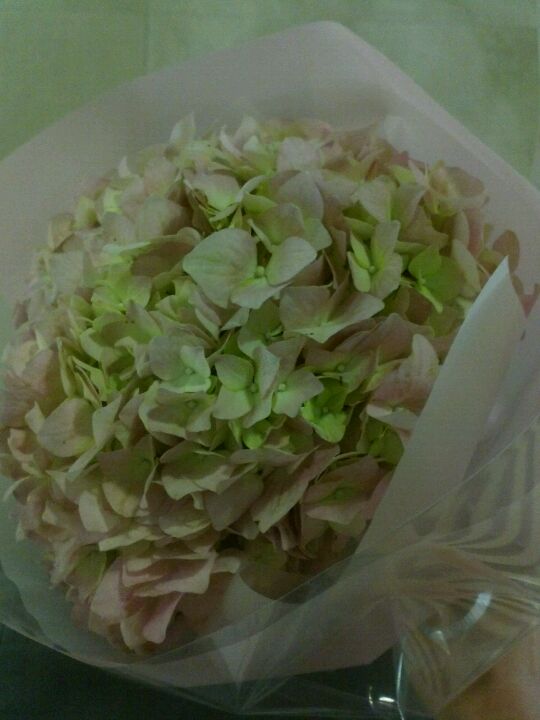 Soho & Noho | 서울 영등포구 의사당대로 108 | +82 2-784-7258