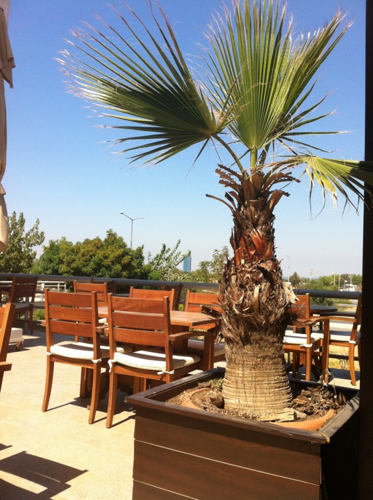 Eylül Cafe | Bahçelerarası Mithatpaşa Caddesi, 35330 Balçova/İzmir | +90 232 277 36 39