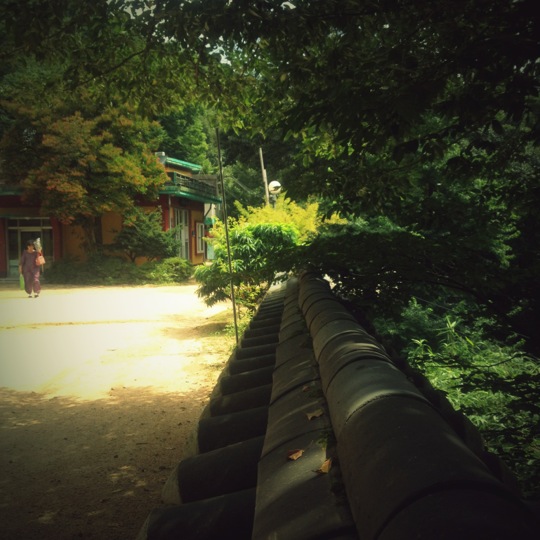 선암사 (仙巖寺) | 부산광역시 부산진구 백양산로 138 | +82 51-803-7573