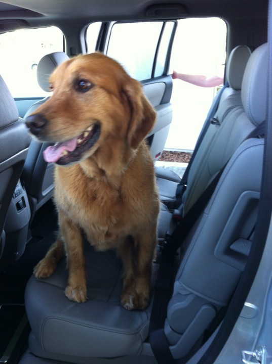 Canyon Crest Animal Hospital 5225 Canyon Crest Dr Ste 75 Riverside Ca 92507