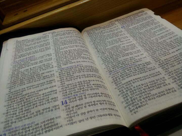 현대자동차 BLUhands | 서울 서초구 서초대로 82, 2호 (방배동) | +82 2-584-9988