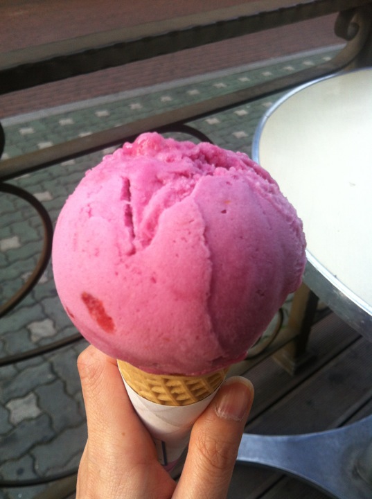 Baskin Robbins 31 | Seoul Gang-dong-gu 천호대로 1092 | +82 2-478-2330