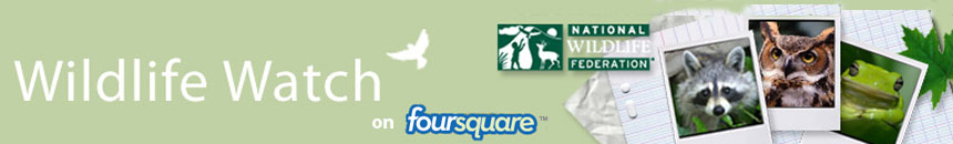 National Wildlife Federation