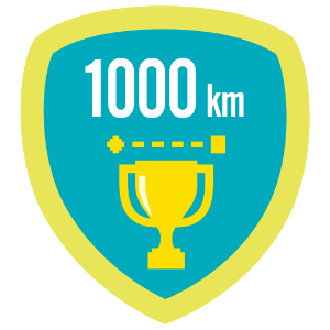 Fitbit 1k lifetime kilometers 