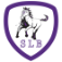 SLB Game Changer